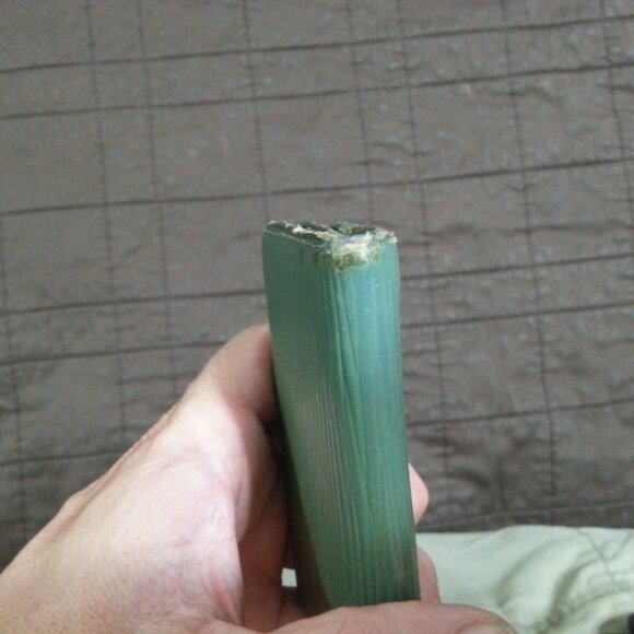 Vintage LV Louis Vuitton Epi Leather Green Key Holder Case Unisex Women's Men's - Picture 11 of 16